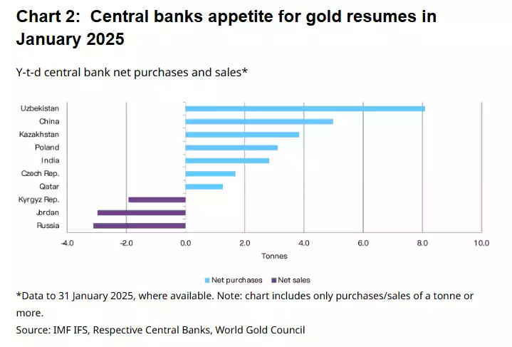 Central Bank Gold Buying Jan 2025 Central Bank Gold Buying Jan 2025